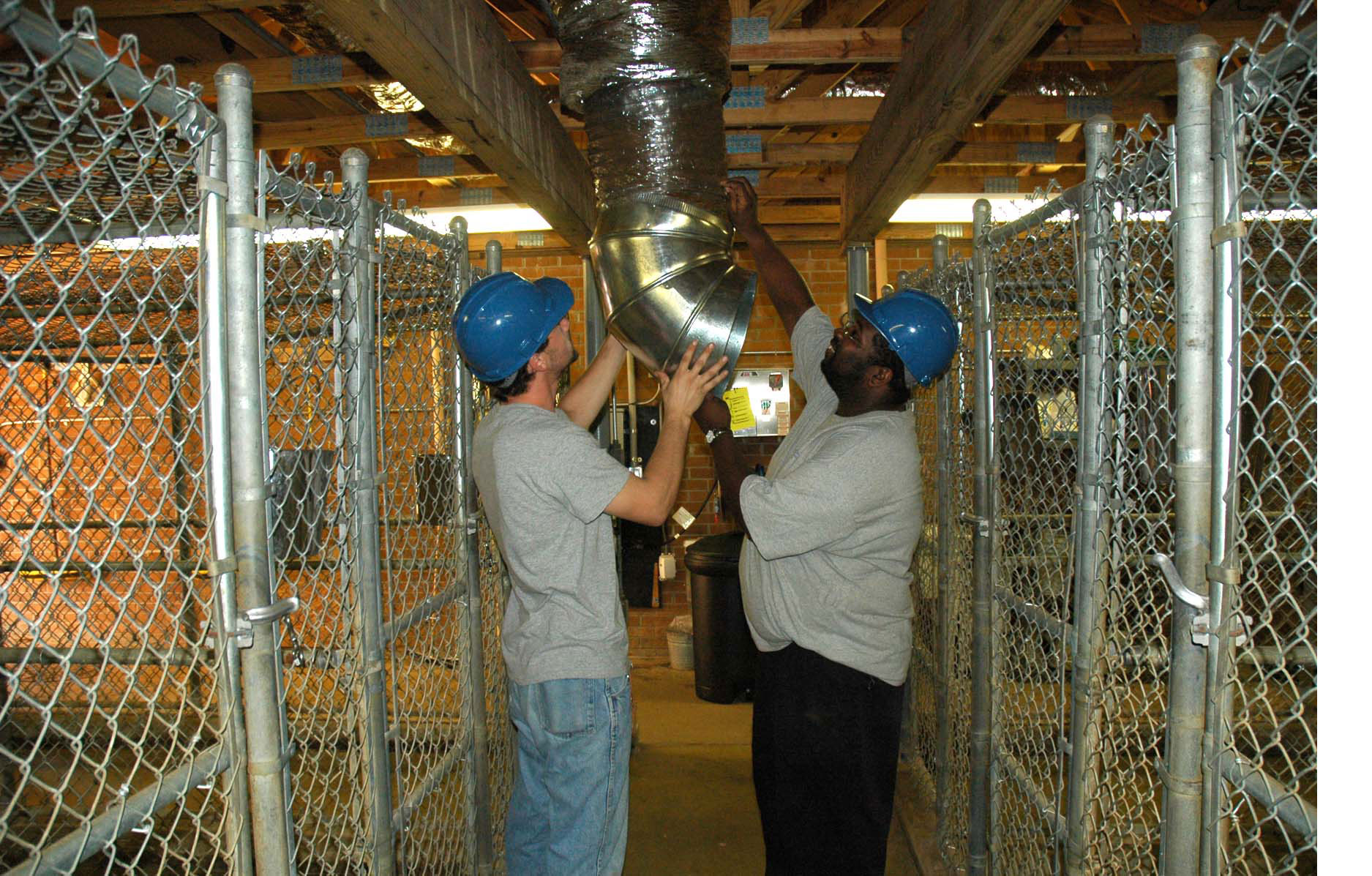 HVAC and Vet Tech working together